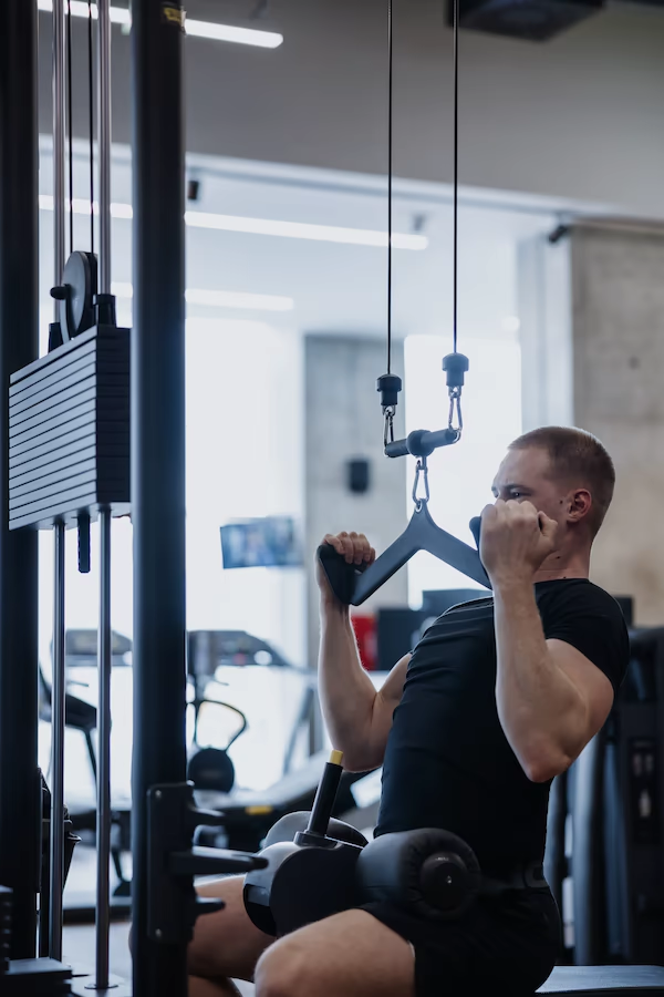 Muscle Beach Forty One – galerija
